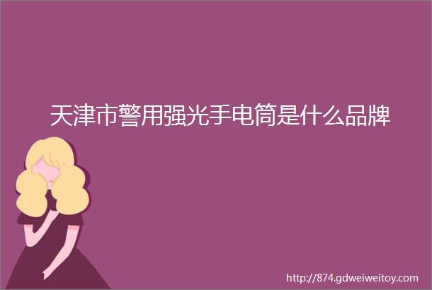 天津市警用强光手电筒是什么品牌